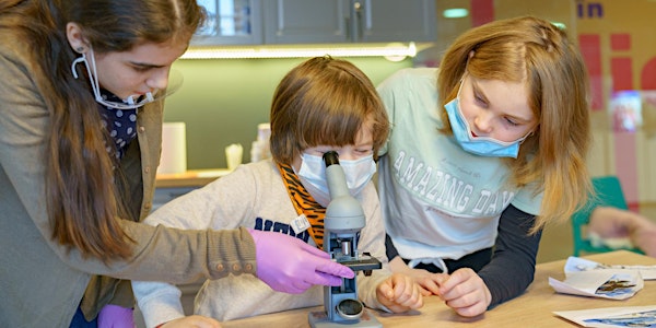Atelier de biologie pentru CLASE (minim 10 copii) 6-14 ani