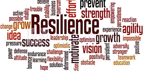 Building Resilience for the Frontline
