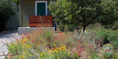 Intro to California Native Plant Garden Design with Tim Becker