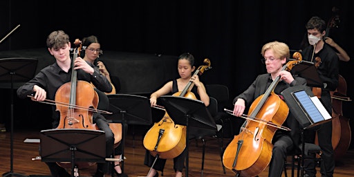 ANU Chamber Orchestra in concert
