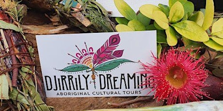 Djirilly Dreaming - Bush Pharmacy