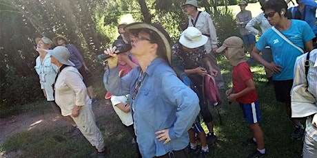 Ecology Walk with Helen Schwencke (Brisbane's Big Butterfly Count event) primary image
