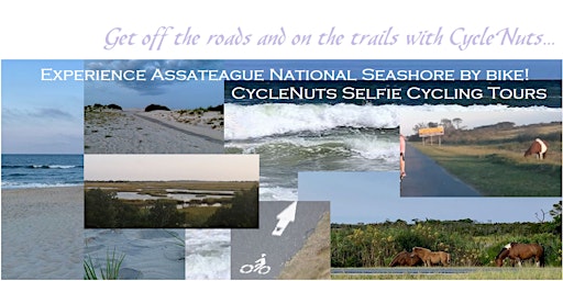 Primaire afbeelding van Assateague Island National Seashore, Maryland - Smart-guided Bicycle Tour