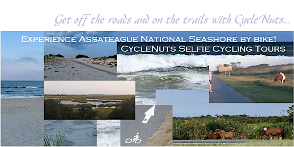 Assateague Island National Seashore, Maryland - Smart-guided Bicycle Tour