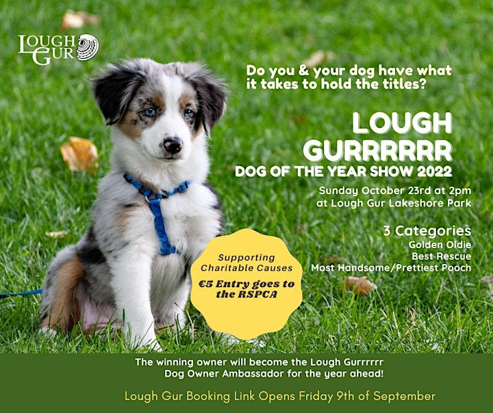 Lough Gurrrrrr Dog of the Year Show image