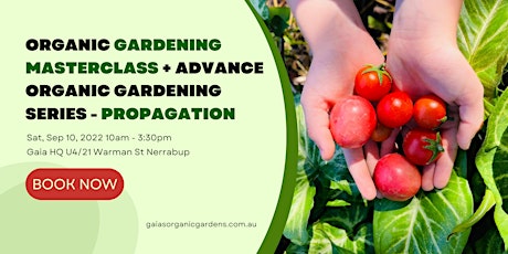 Organic Gardening Masterclass + Organic Gardening Series: Propagation primary image