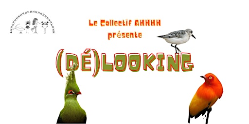 (Dé)Looking