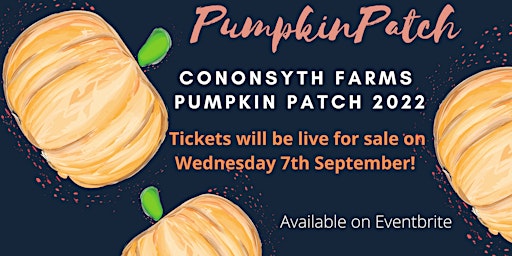 Cononsyth Farms Pick Your Own Pumpkin Patch 2022