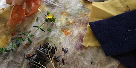 Hauptbild für Bundle dyeing using natural dyes
