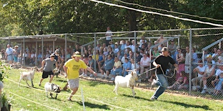 Falmouth Goat Races - Rotary Gathering primary image