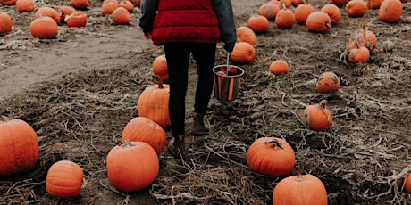 Fall Client Appreciation Event: Pumpkin Picking