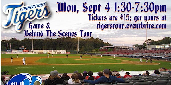 CT Tigers Game & Behind The Scenes Tour