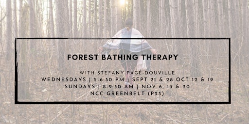 Forest Bathing Therapy Ottawa