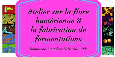  Atelier sur la flore microbienne & fabrication de fermentations primary image