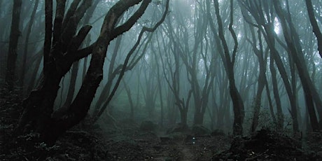 Hammond Hill Haunted Forest October 29