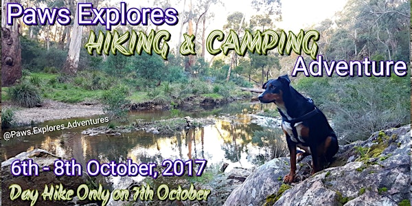 Paws Explores HIKING & CAMPING Adventure(SAVE-A-DOG & TheSALVOS Fundraiser)