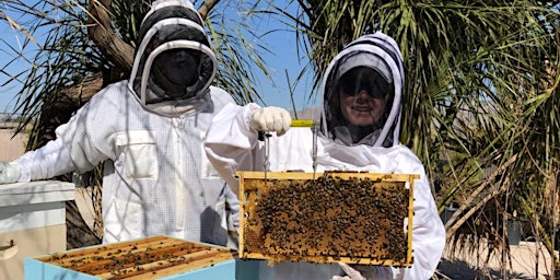Introduction to Beekeeping (repeat course)