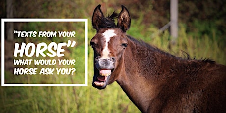 "Texts from your Horse"- What your horse would ask you? primary image