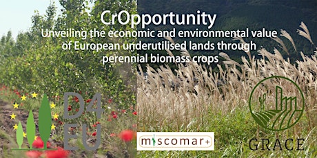 Side Event “CrOpportunity – Perennial Crops for Bioeconomy”