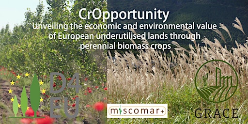 Side Event “CrOpportunity – Perennial Crops for Bioeconomy”