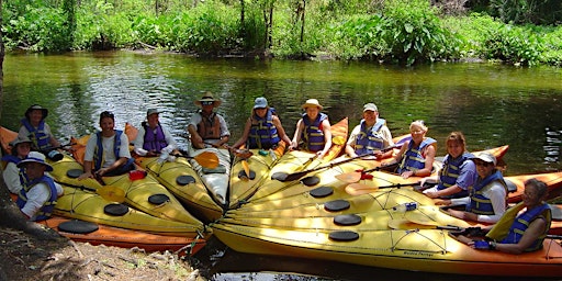 Join us on a guided kayak tour of the most scenic river in Central Florida