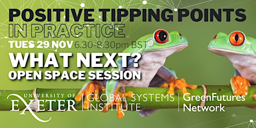 Positive Tipping Points in Practice: What next?