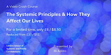 The Systemic Principles & How They Affect Our Lives - a Video Crash Course