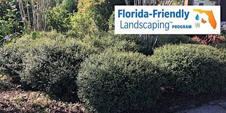 Florida-Friendly Plant Selection (In-Person class)
