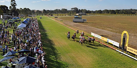 The Kerslake Foundation Clare Race Day  primary image