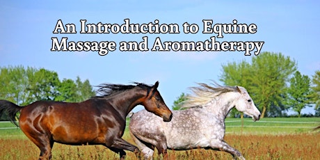An Introduction to Equine Massage and Aromatherapy primary image