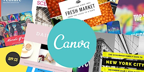 Branding and design for new businesses and start-ups using Canva primary image