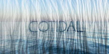 COTIDAL -  Online Preview Screening