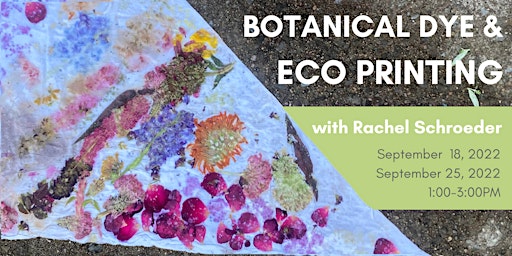 Botanical Dye and Eco Printing