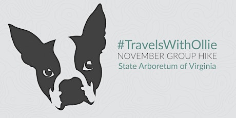 #TravelsWithOllie: November Group Hike + Yoga!