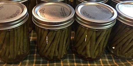 LUSH Valley: Of Course We Can! Spicy Pickled Beans primary image