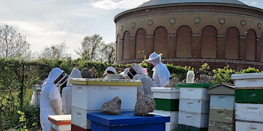 Beekeeping Workshop at Filbert Street Garden