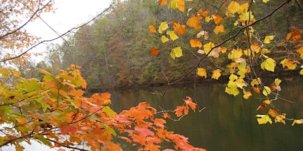 Autumn Contemplative Nature Walks Series