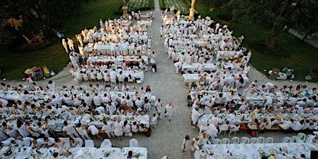 Immagine principale di Cena in Bianco Ceriano Laghetto 