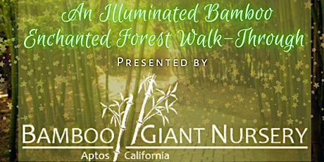 Illuminated Bamboo Enchanted Forest Walk-Through
