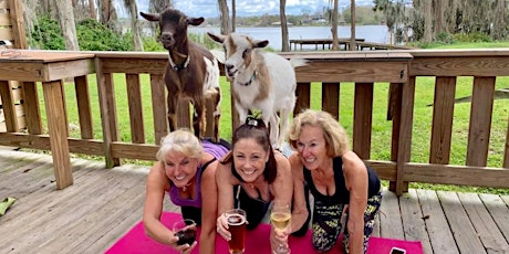 Goat Yoga Tampa benefitting Community Pet Project; Fundraiser - 11/6/22