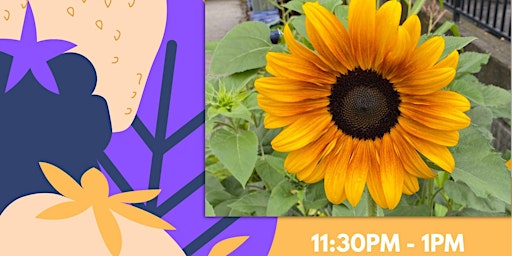 NEIGHBOURHOOD FOOD WEEK: Here comes the SUN-flower!