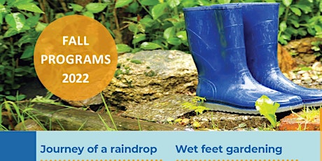Wet Feet Gardening