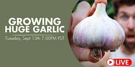Growing HUGE Heads of Garlic! primary image