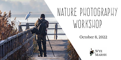 Art in the Marsh: Nature Photography Workshop