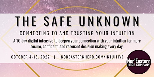 The Safe Unknown   |   10 Day Digital Intensive