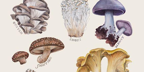 Skills for Low-Tech Mushroom Cultivation - Edmonton Weekend Course