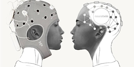 CCCB- Neurotwins, bessons digitals de cervells humans