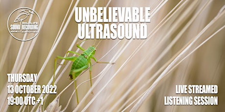 WSRS | Listening Session | Unbelievable Ultrasound