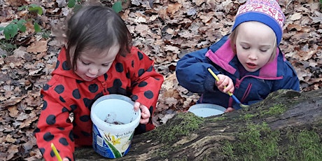 Forest of Dean Nature Tots