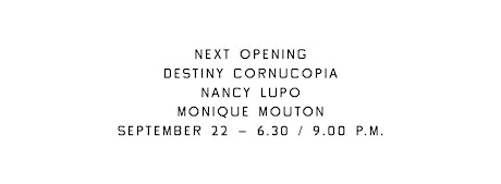 Immagine principale di Next Opening: Destiny Cornucopia, a show by Nancy Lupo and Monique Mouton 